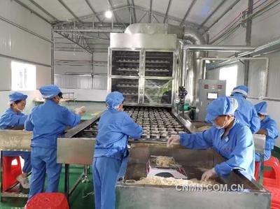 扶貧托起致富夢，砥礪“黔”行奔小康——有色金屬產業助力脫貧攻堅的生動實踐